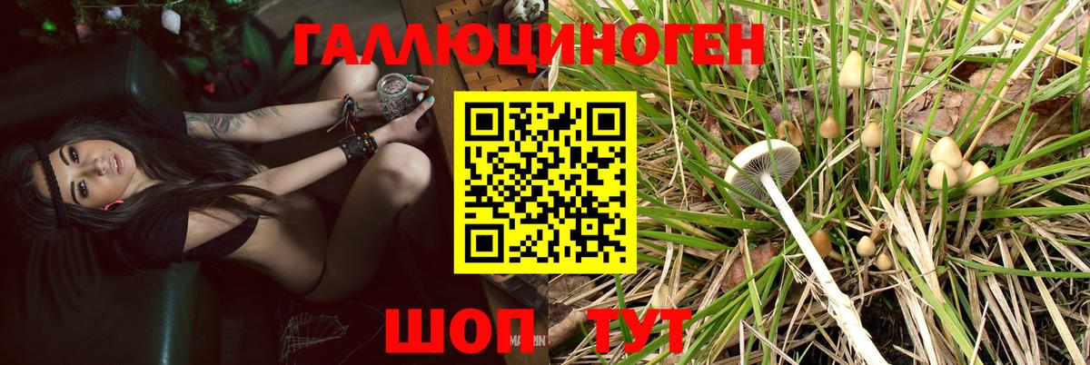 Реутов  Галлюциногенные грибы мицелий  Псилоцибиновые грибы Cubensis  Вход с VPN 